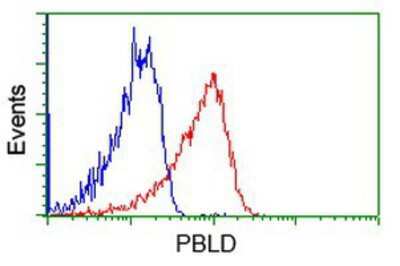 Flow Cytometry: PBLD Antibody (OTI7G5) [NBP2-03265]