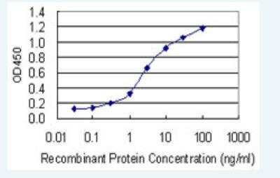 ELISA: PCDH11 Antibody (7B4) [H00027328-M05-50ug]