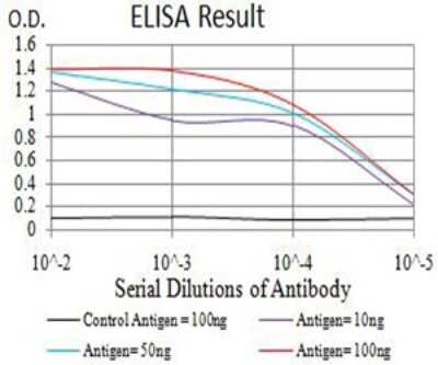 ELISA: PCDH9 Antibody (7G3F7) - BSA Free [NBP2-61771]