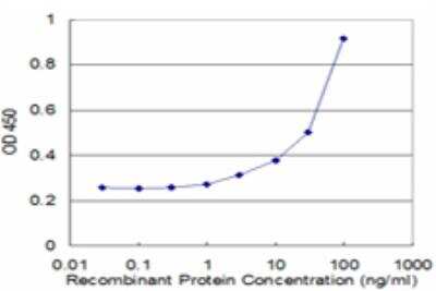 ELISA: PCGF3 Antibody (1F1) [H00010336-M03]