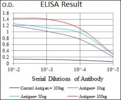 ELISA: PCNA Antibody (7H4F8) - BSA Free [NBP2-37414]