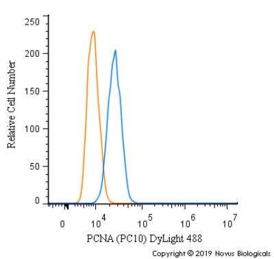 Flow Cytometry: PCNA Antibody (PC10) [NB500-106]