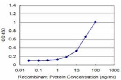 ELISA: PCP4 Antibody (1E3) [H00005121-M14]
