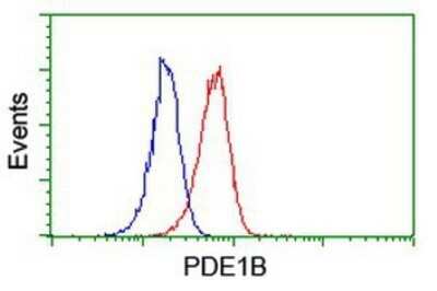 Flow Cytometry: PDE1B Antibody (OTI6E4) - Azide and BSA Free [NBP2-73278]