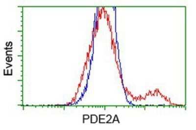 Flow Cytometry: PDE2A Antibody (OTI3A4) - Azide and BSA Free [NBP2-73288]