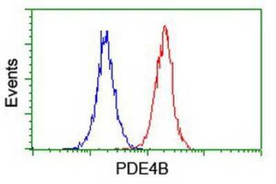 Flow Cytometry: PDE4B Antibody (OTI1D12) [NBP2-01171]
