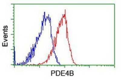 Flow Cytometry: PDE4B Antibody (OTI1D12) - Azide and BSA Free [NBP2-73292]
