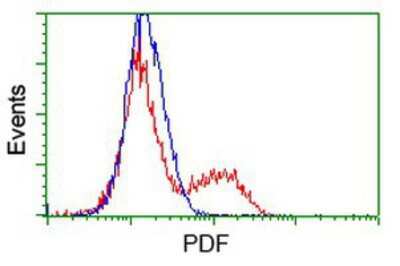 Flow Cytometry: PDF Antibody (OTI3F3) [NBP2-00814]