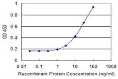 ELISA: PDGF-D/SCDGFB Antibody (4H2) [H00080310-M09]