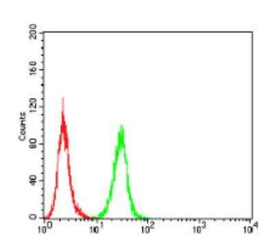 Flow Cytometry: PDGF R beta Antibody (2G7B7) - BSA Free [NBP2-52529]