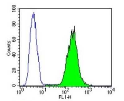 Flow Cytometry: Protein Disulfide Isomerase/P4HB Antibody (RL77) [NB600-1164]