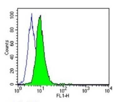 Flow Cytometry: Protein Disulfide Isomerase/P4HB Antibody (RL77) [NB600-1164]