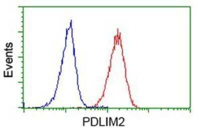 Flow Cytometry: PDLIM2 Antibody (OTI11A12) - Azide and BSA Free [NBP2-73311]