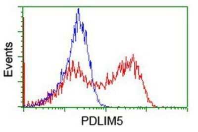 Flow Cytometry: PDLIM5 Antibody (OTI1H10) - Azide and BSA Free [NBP2-73317]
