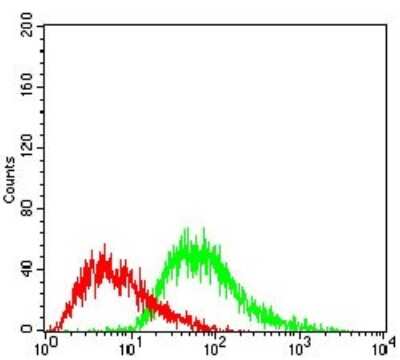 Flow Cytometry: PGC-1 beta Antibody (6C3F6) - BSA Free [NBP2-37249]