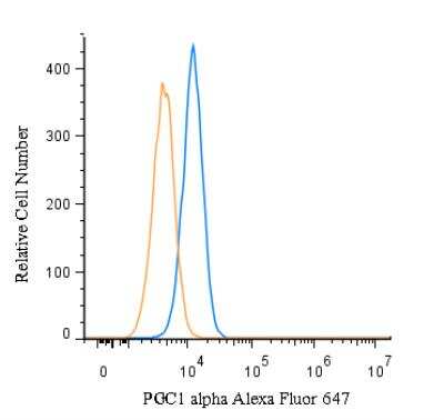 Flow Cytometry of HeLa Cells Stained with Alexa Fluor 647 Conjugated PGC1 alpha Antibody