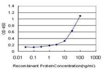 ELISA: PGGT1B Antibody (5E4) [H00005229-M02]