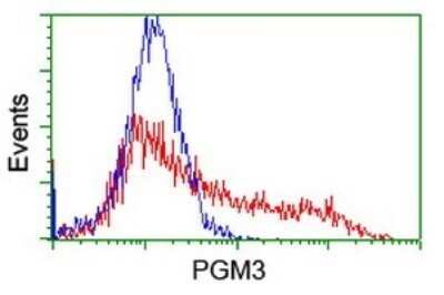 Flow Cytometry: PGM3 Antibody (OTI5C6) - Azide and BSA Free [NBP2-73364]