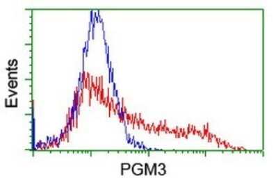 Flow Cytometry: PGM3 Antibody (OTI5C6) [NBP2-46380]