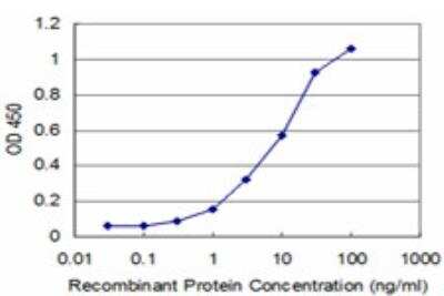 ELISA: PHF1 Antibody (2A12) [H00005252-M03]