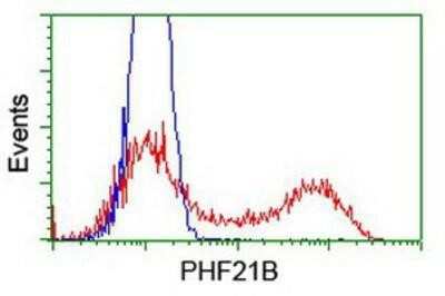 Flow Cytometry: PHF21B Antibody (OTI3D1) [NBP2-00960]