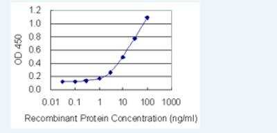 ELISA: PHF6 Antibody (8F24) [H00084295-M01-100ug]