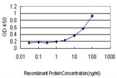 ELISA: PHKG1 Antibody (2B4) [H00005260-M02]