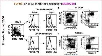 Flow Cytometry: PILR-alpha Antibody (36H2) [DDX0230P-100]
