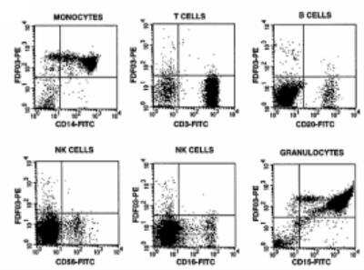Flow Cytometry: PILR-alpha Antibody (36H2) [DDX0230P-100]