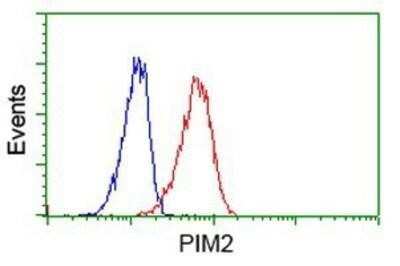 Flow Cytometry: PIM2 Antibody (OTI5D5) - Azide and BSA Free [NBP2-73412]