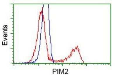 Flow Cytometry: PIM2 Antibody (OTI5D5) - Azide and BSA Free [NBP2-73412]