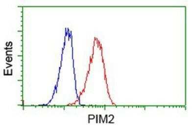 Flow Cytometry: PIM2 Antibody (OTI5D5) [NBP2-02441]