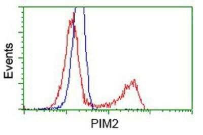 Flow Cytometry: PIM2 Antibody (OTI5D5) [NBP2-02441]
