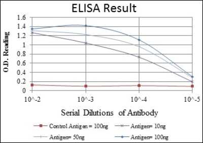 ELISA: PINCH1/LIMS1 Antibody (5G7) - BSA Free [NBP2-37581]
