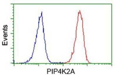 Flow Cytometry: PIP5K2 alpha Antibody (OTI3D3) - Azide and BSA Free [NBP2-73417]