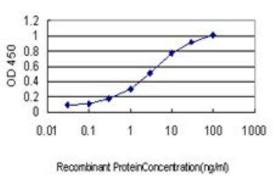 ELISA: PKC alpha Antibody (2F11) [H00005578-M01]