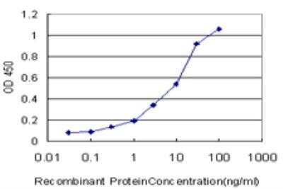 ELISA: PKC iota Antibody (1C10) [H00005584-M04]