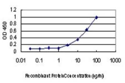 ELISA: PKC iota Antibody (1G11) [H00005584-M01]