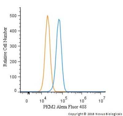 Flow Cytometry: PKM2 Antibody - BSA Free [NBP1-48308]