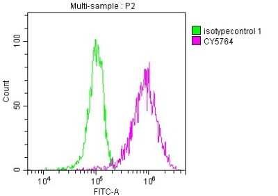 Flow Cytometry: PKM2 Antibody (7B2) [NBP3-15230]