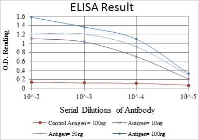 ELISA: PKN2 Antibody (1D1) - BSA Free [NBP2-37573]