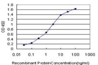 ELISA: PKR Antibody (1D11) [H00005610-M02]