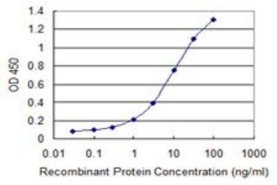 ELISA: PLA2G16/HRASLS3 Antibody (4C4-2A11) [H00011145-M02]