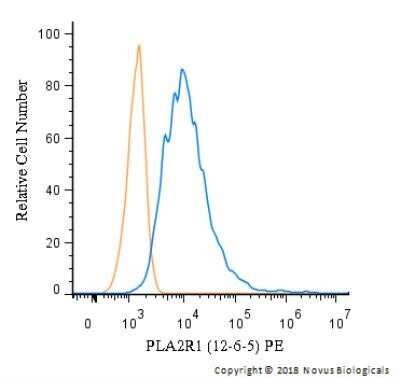 Flow Cytometry: PLA2R1 Antibody (12-6-5) - Azide and BSA Free [NBP2-80912]