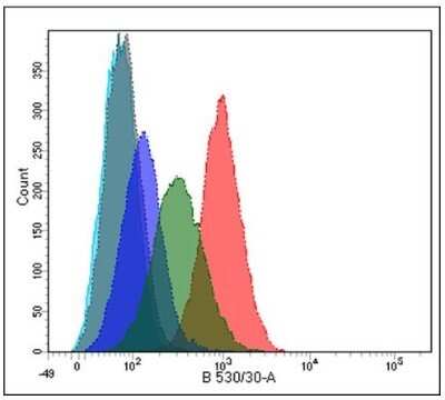 Flow Cytometry: PLA2R1 Antibody (12-6-5) - Azide and BSA Free [NBP2-80912]