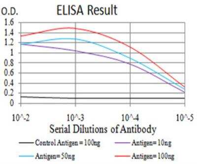 ELISA: PLC-gamma 1 Antibody (3C2D11) - BSA Free [NBP2-52532]