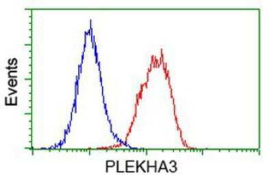 Flow Cytometry: PLEKHA3 Antibody (OTI5D11) [NBP2-00768]