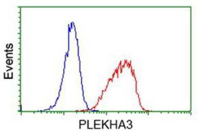 Flow Cytometry: PLEKHA3 Antibody (OTI5D11) [NBP2-00768]