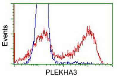 Flow Cytometry: PLEKHA3 Antibody (OTI5D11) [NBP2-00768]
