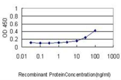 ELISA: PLK1 Antibody (2G12) [H00005347-M01]